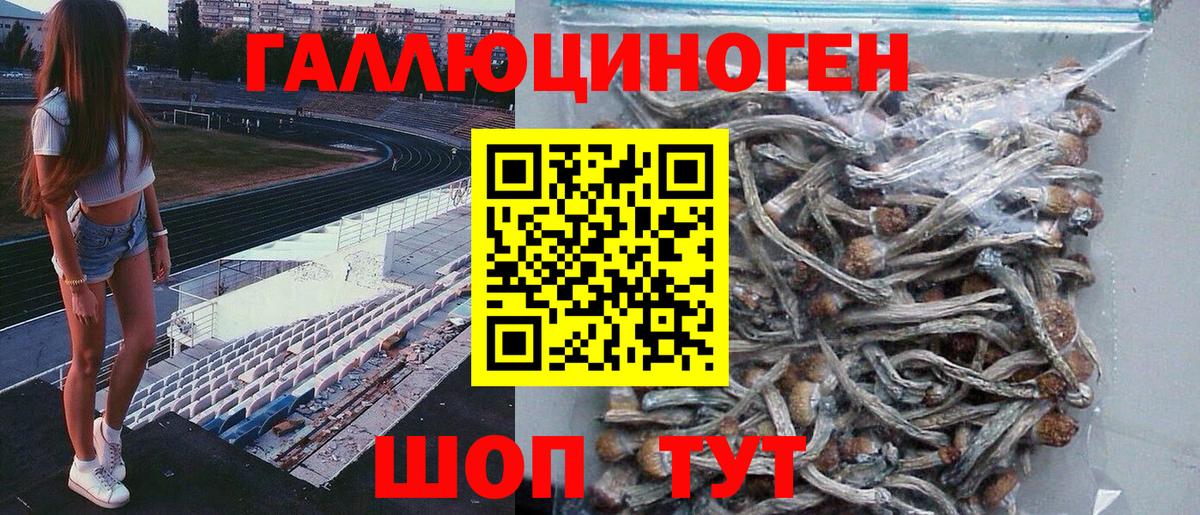Галлюциногенные грибы Cubensis Нерюнгри
