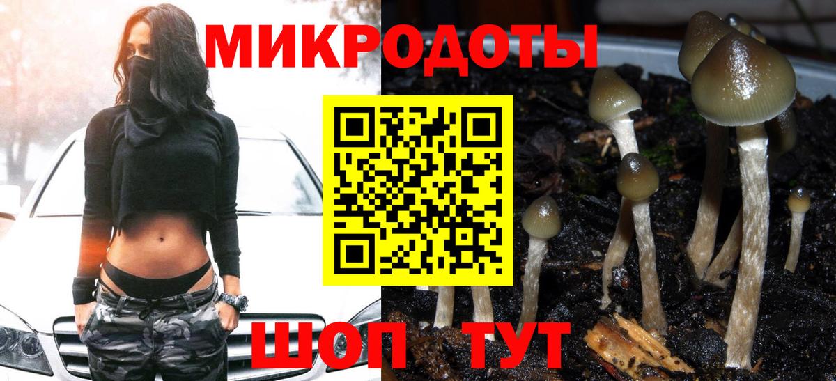 Галлюциногенные грибы ЛСД  Вход с VPN  Нерюнгри 